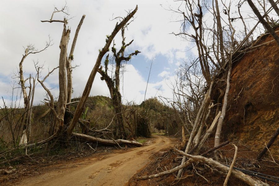 The mountain town of Juyaya, Puerto Rico, is one of the most remote on the island, and help was slow to arrive due to roads blocked by landslides and fallen trees. This is the road from Ciales to Jayuya.
