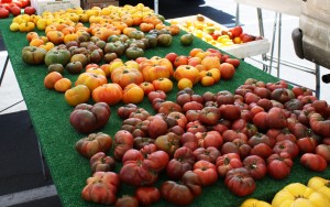 F-HeirloomWeb-091311