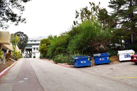 This access road behind the Apolliad Theatre, near where the assault took place