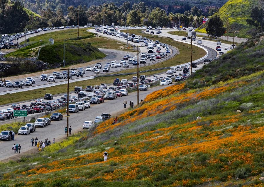 City of Lake Elsinore affected by the superbloom traffic. 
Photo Credit: MCT Campus