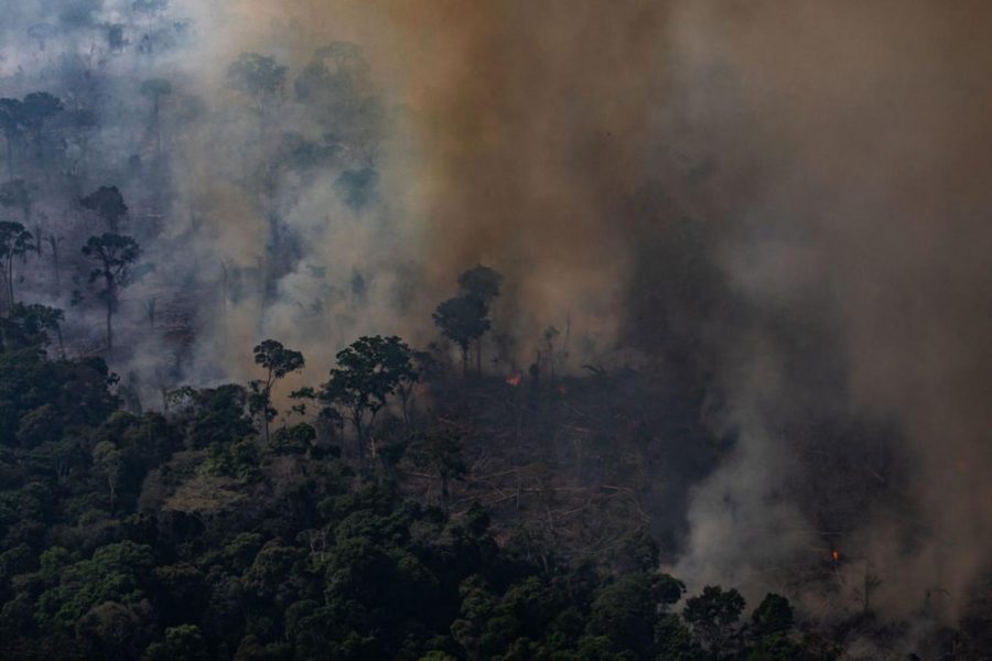 In this aerial image, a fire burns in a section of the Amazon rain forest on August 25, 2019 in the Candeias do Jamari region near Porto Velho, Brazil. (Victor Moriyama/Getty Images/TNS) *FOR USE WITH THIS STORY ONLY*