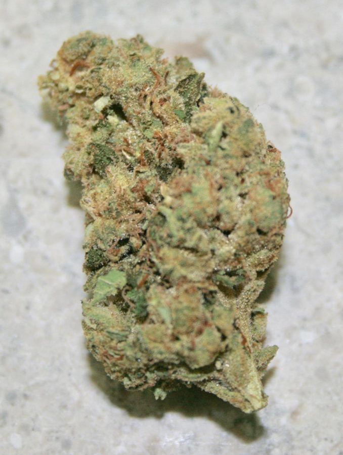 Medical marijuana close-up