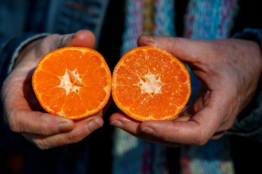 Tangerines and citrus fruits are an amazing source of Vitamin C. 