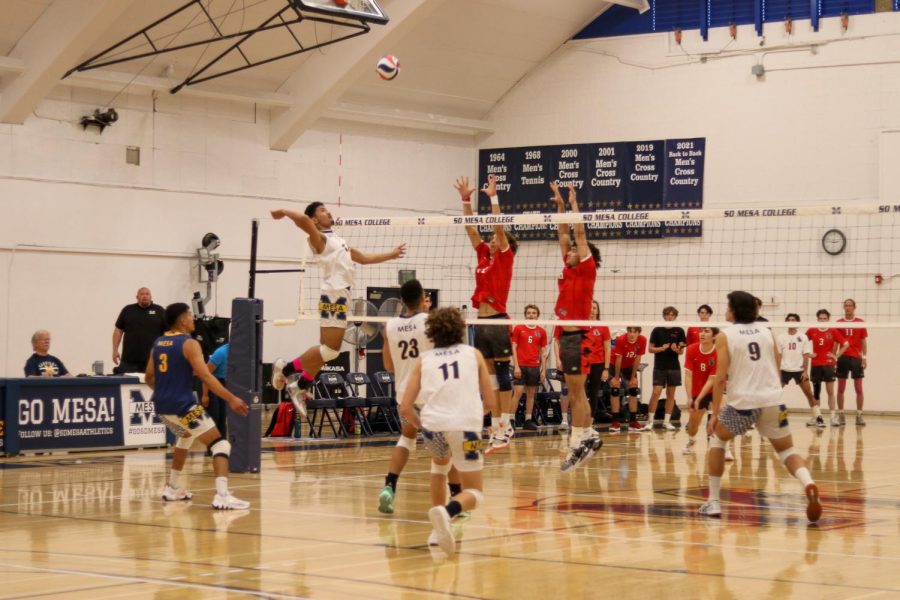 Outside hitter Isaack Grant rises for the kill as two Vaquero blockers jump for an attempted block. Photo Credit:  Andres Armenta/The Mesa Press.