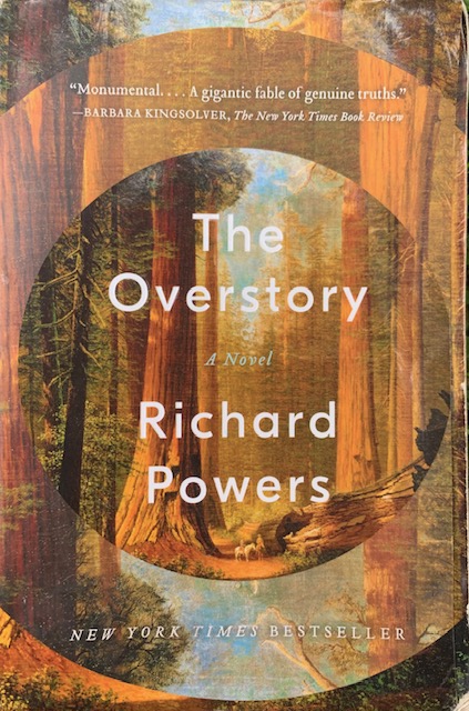 Book+Review%3A+You%E2%80%99ll+talk+to+trees+after+reading+%E2%80%98The+Overstory%E2%80%99