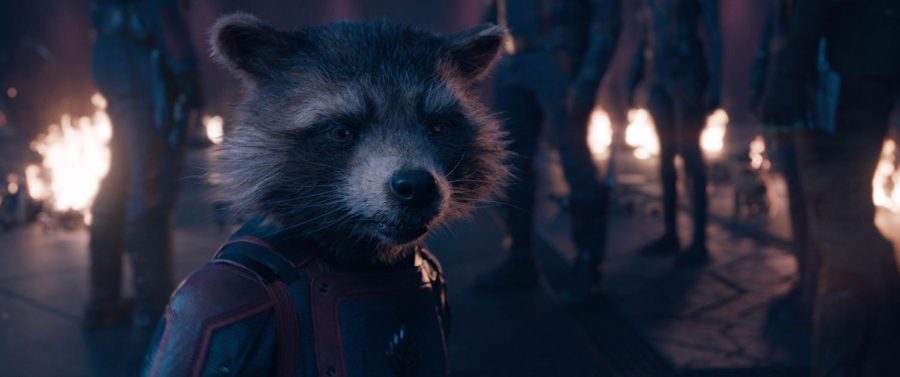 Rocket+%28voiced+by+Bradley+Cooper%29+in+Marvel+Studios+Guardians+of+the+Galaxy+Vol.+3.+