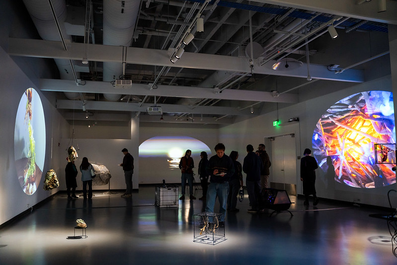 Exploring interconnected dualities at the Dark Loops exhibition