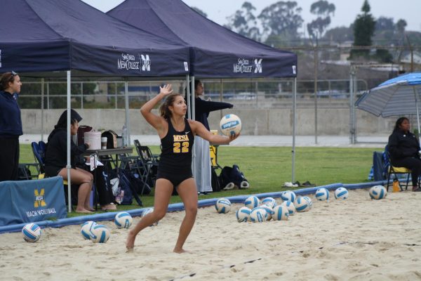 Beach volleyball team triumphs two wins against City College and Miramar college