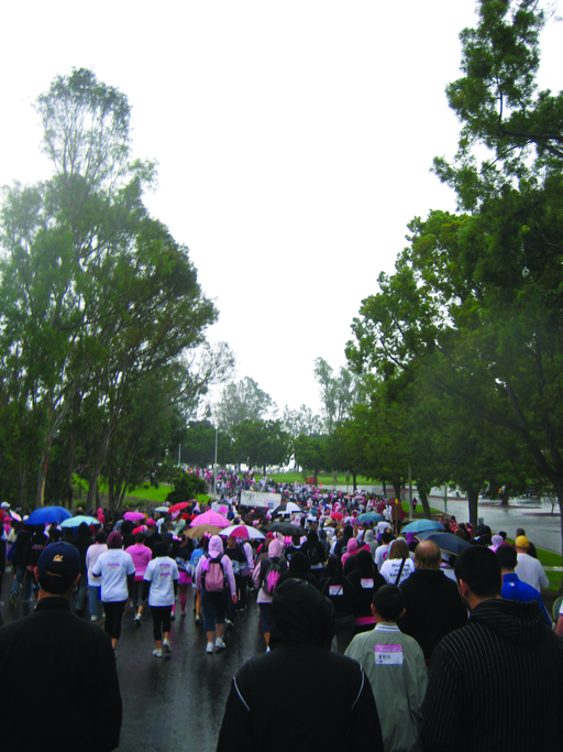 Mesa College taking stride for a cure