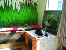 Jungle fever takes over cat habitats
